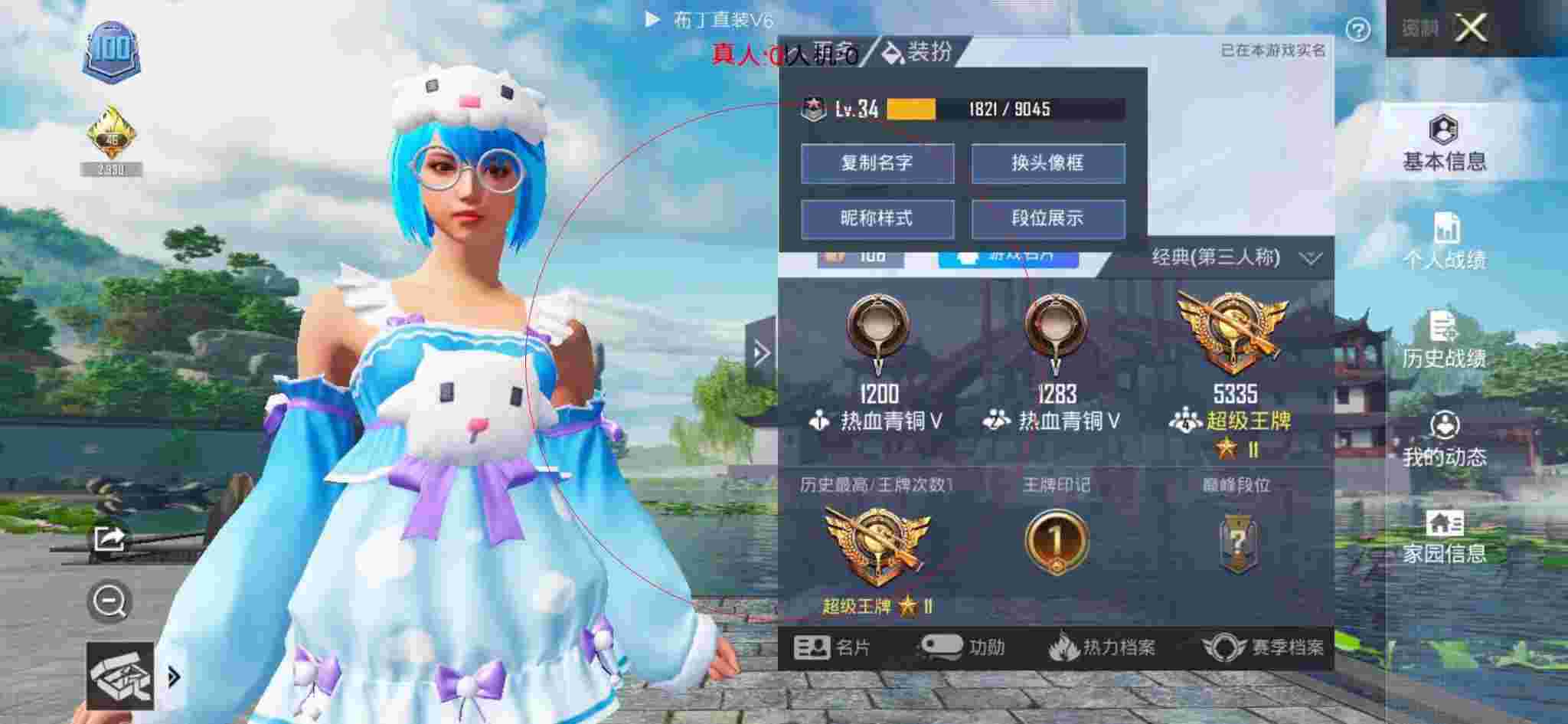 和平精英布丁直装透视 - 和平精英辅助操作过程辅助预览图